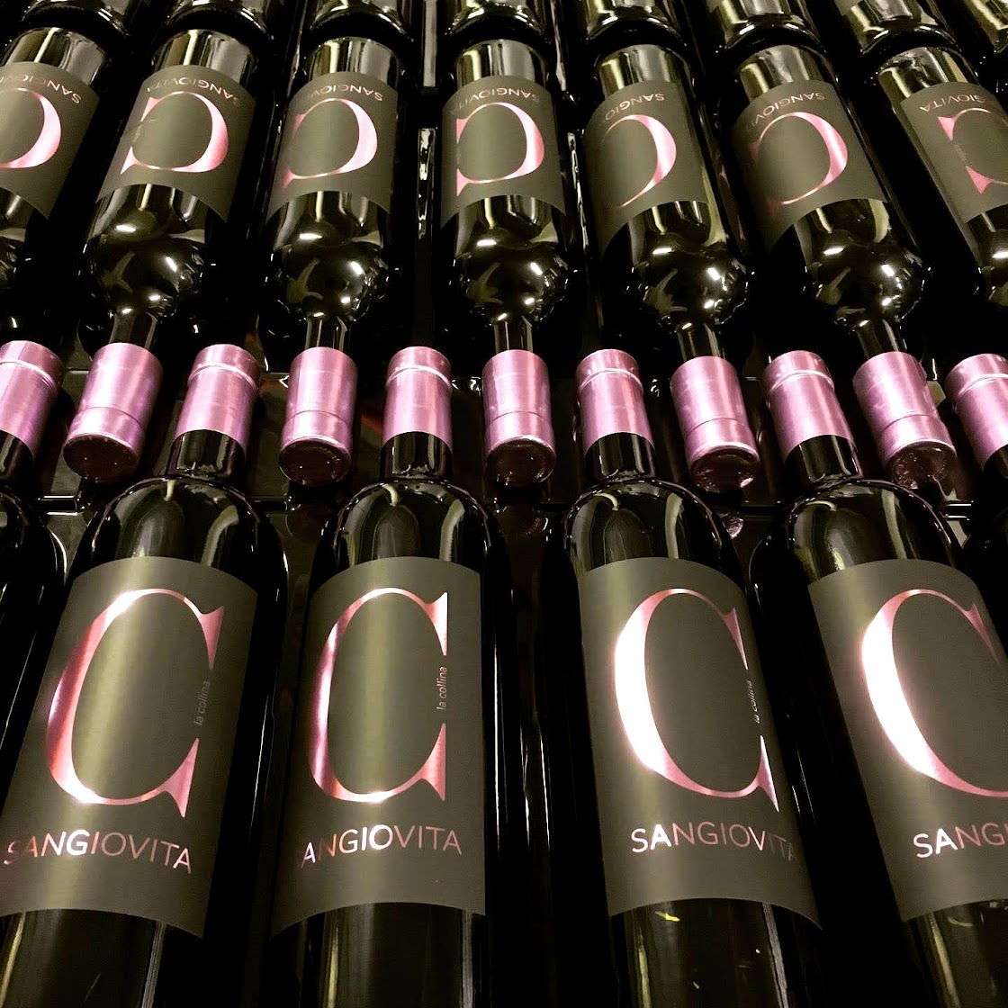 La Collina Winery Online Wine Shop Sangiovita Red Wine Sangiovese Grapes Emilia Romagna Italy