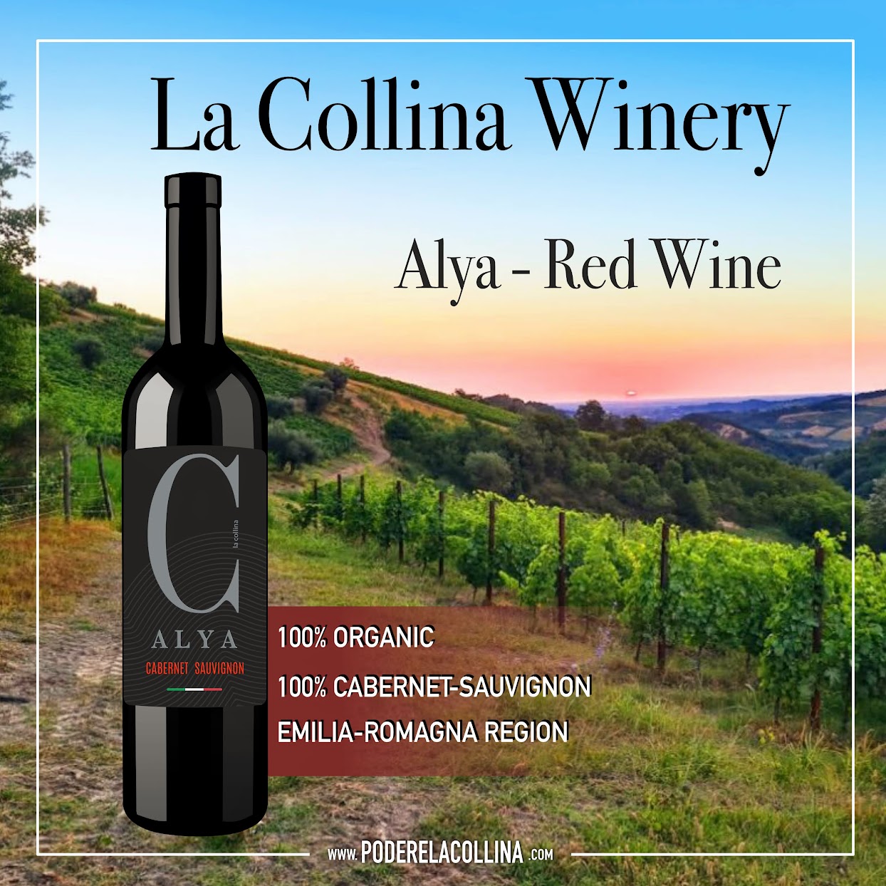 Alya-Red Wine - Cabernet-Sauvignon - La Collina Winery from Brisighella, Emilia-Romagna region in Italy - Online Wine Shop